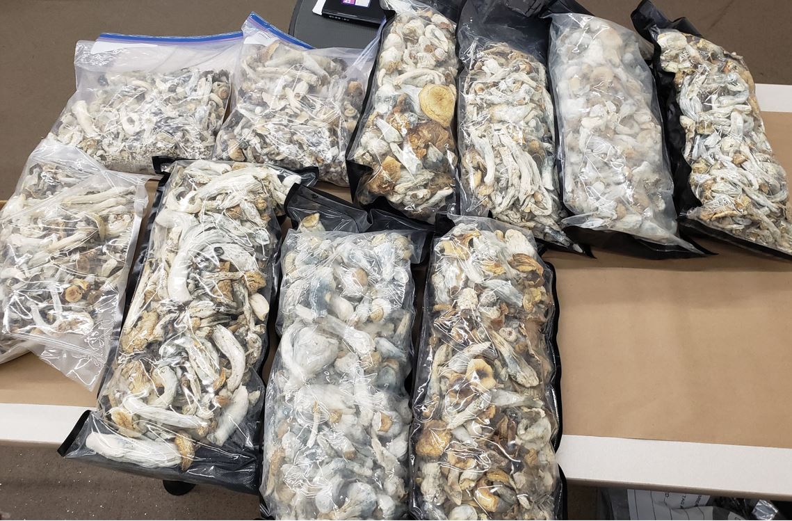 Psilocybin (magic mushrooms)