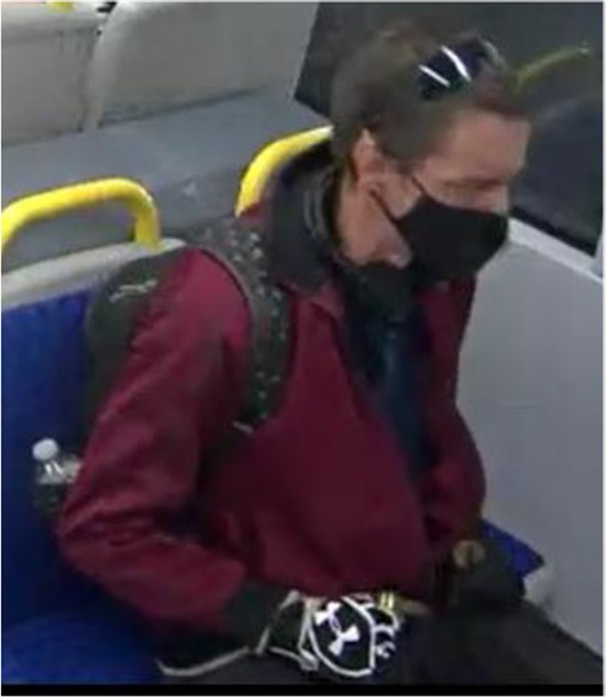 Suspect Photo 2 B&E