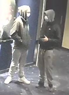 Mischief Suspects
