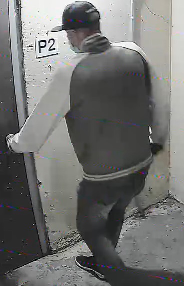 Richmond Rd B&E suspect  back