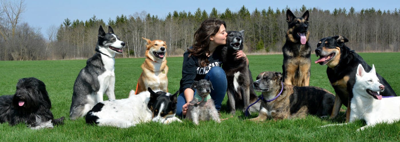 Woman in field with many dogs