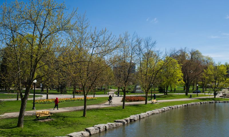 Victoria Park in the spring