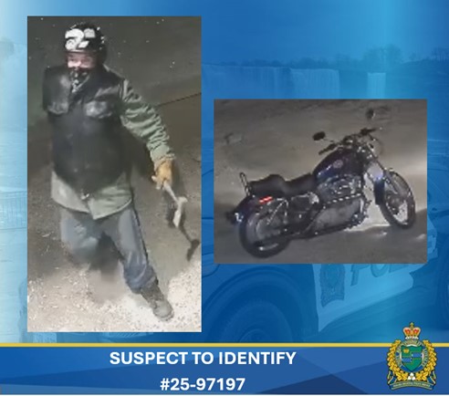 suspect