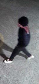 Robbery Woodroffe Suspect Pic 2