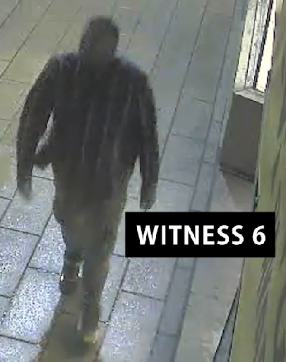 witness 6