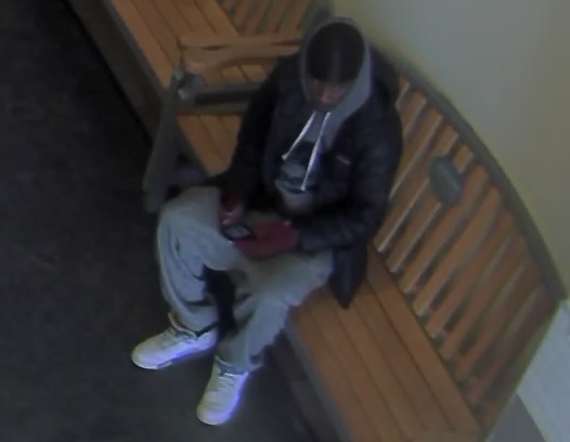 Male suspect to ID pic1