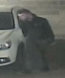 Cat Conv Theft Suspect #8 Central GAS