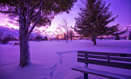 Lower Reach Park Re-Design