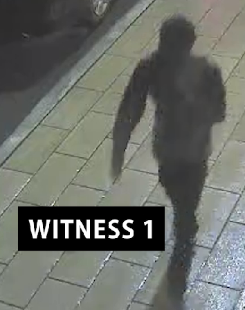 witness 1