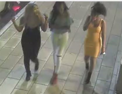 Female witnesses to ID - Dickson Homicide