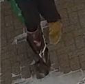 B&E Suspect 1B