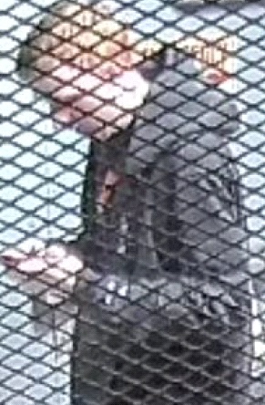 Suspects 6