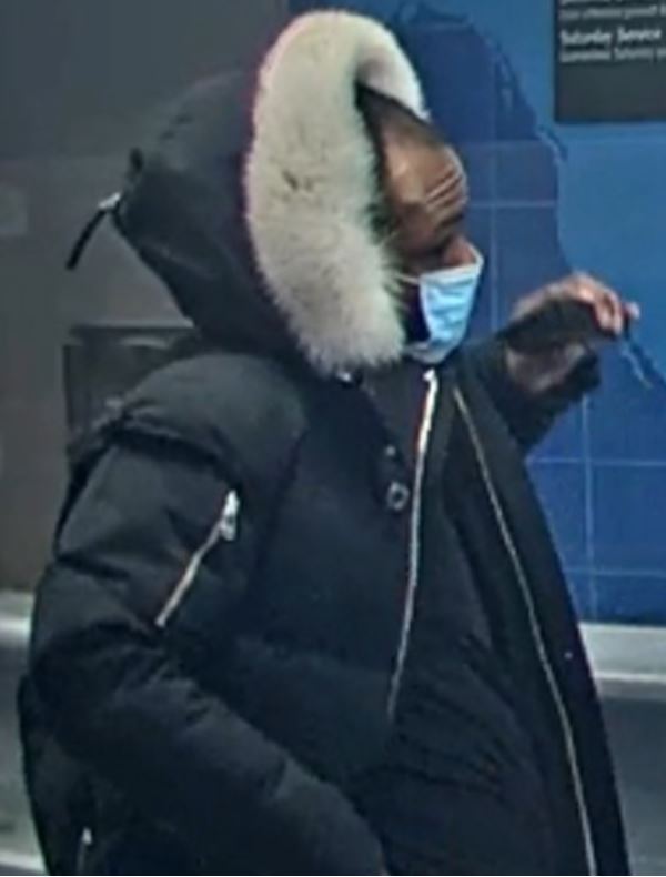 Theft-Fraud Suspect