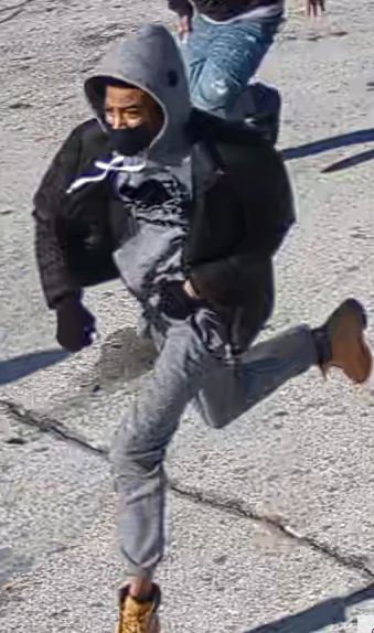 suspect 2a