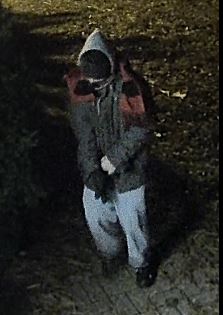 male suspect to identify for Mischief