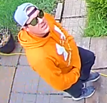 Residential Theft Image 1