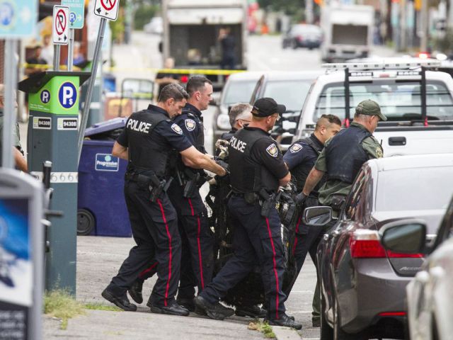 Byward Market Bear being moved to safety and returned to its natural habitat