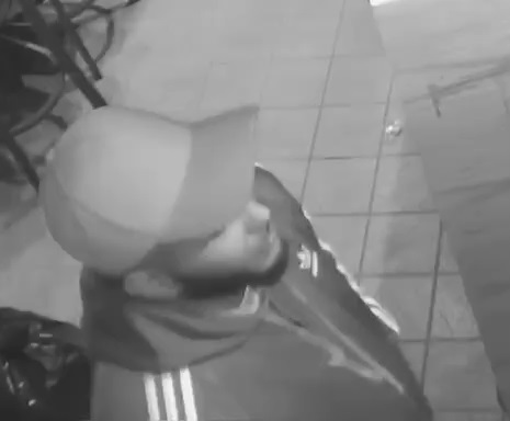 suspect 1a