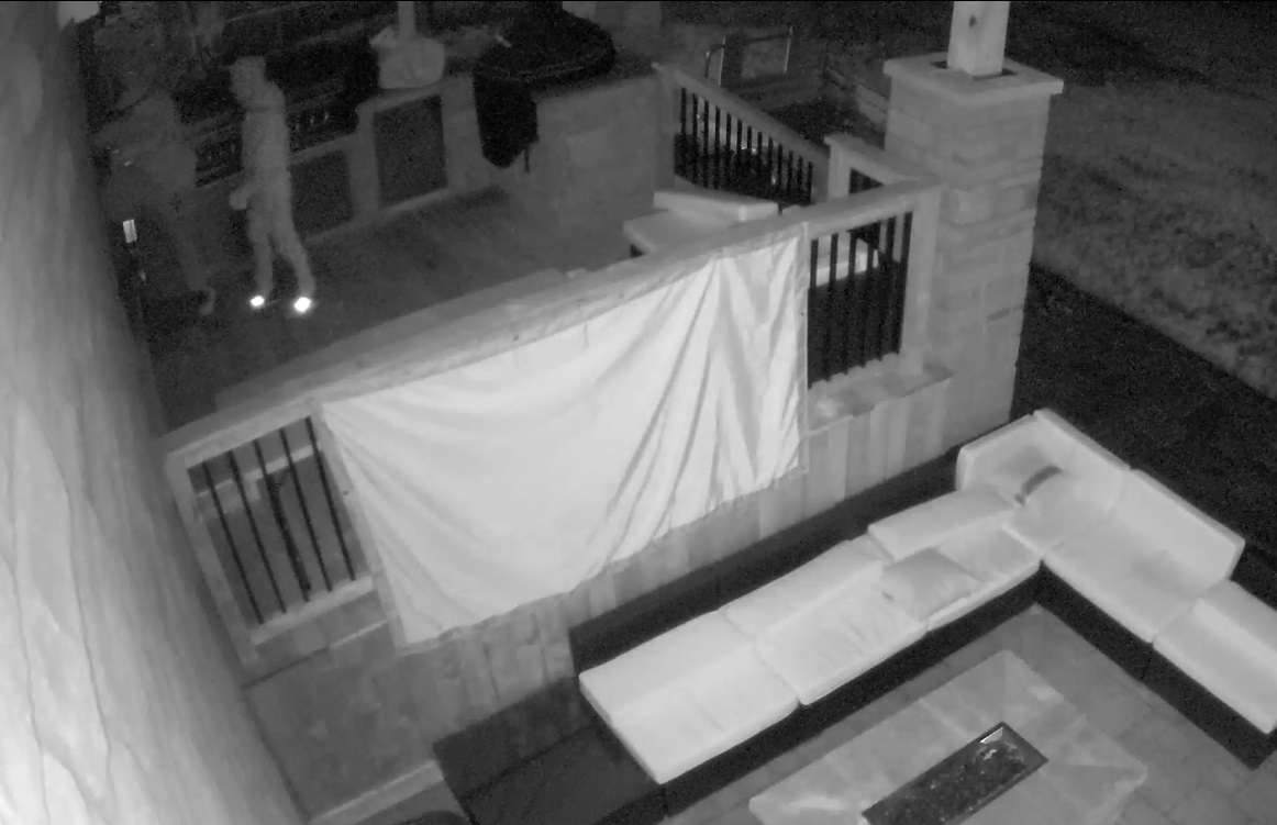 Home Invasion pic 2