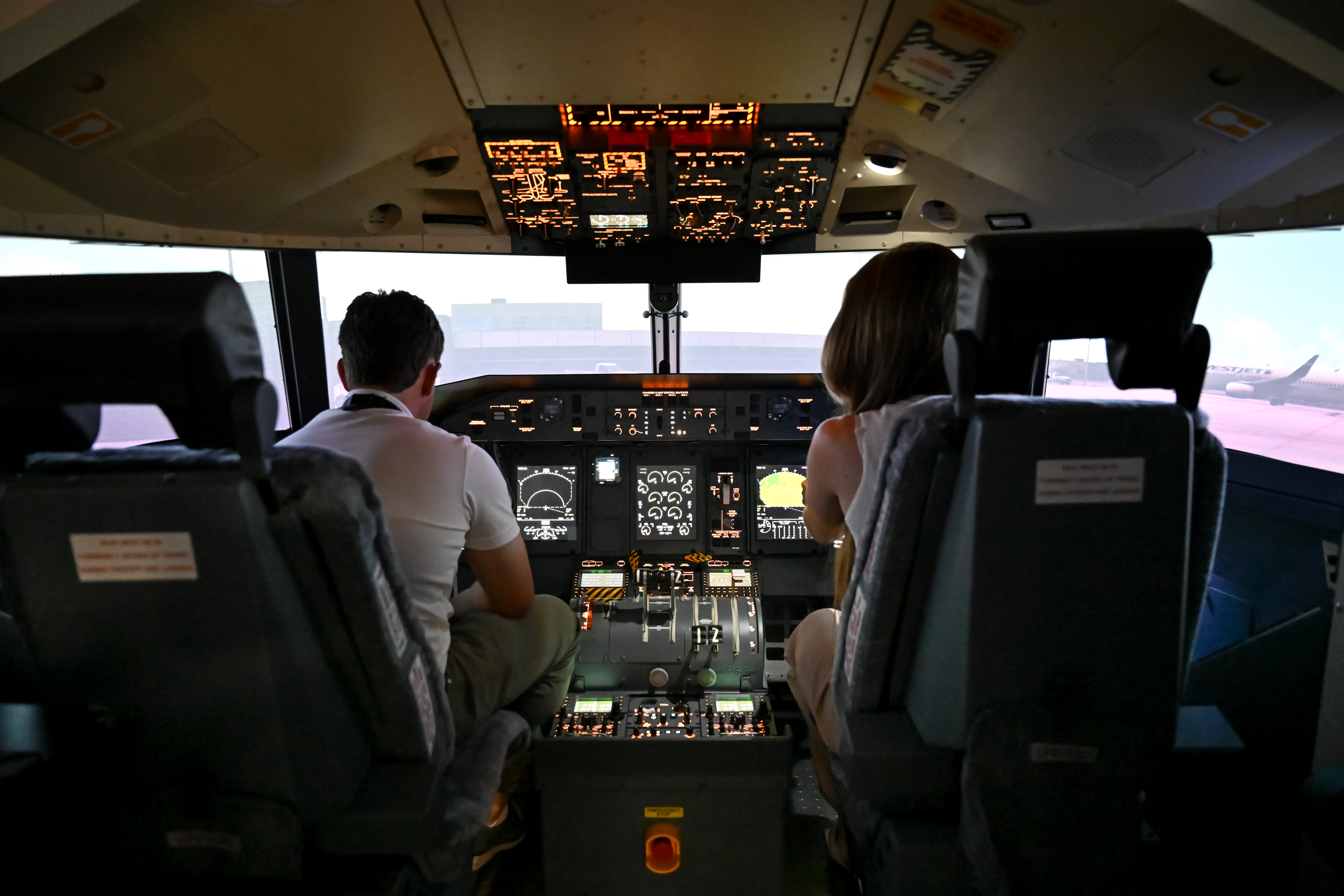 Flight Simulator