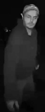 Theft Suspect-2
